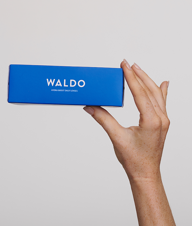 waldo daily contact lenses